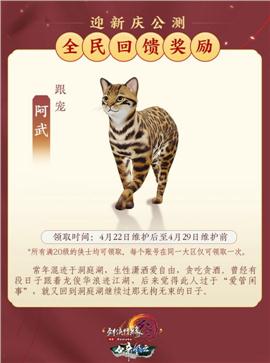 天龙八部私服编辑npc